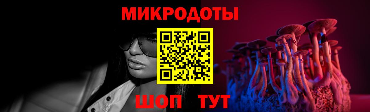 Ковров  Псилоцибиновые грибы Psilocybe  Вход с VPN 