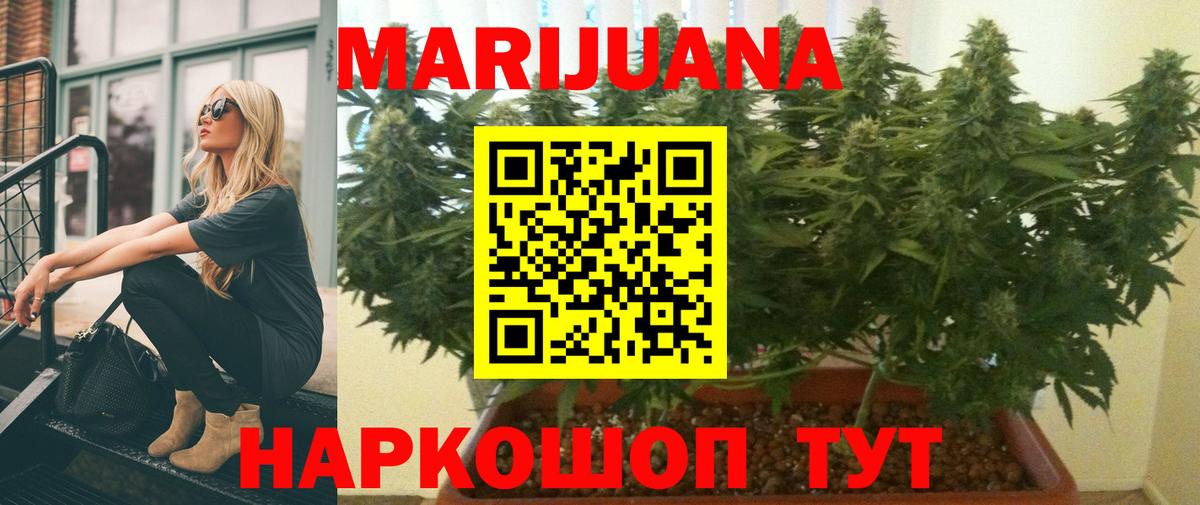 Бошки Шишки тримм  Бошки Шишки White Widow  Бошки Шишки планчик  Вход с VPN  МАРИХУАНА сатива  Ковров 